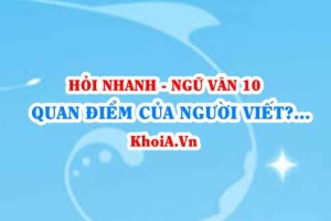 Quan điểm của người viết? Phương tiện giao tiếp phi ngôn ngữ là gì? Ngữ Văn lớp 10